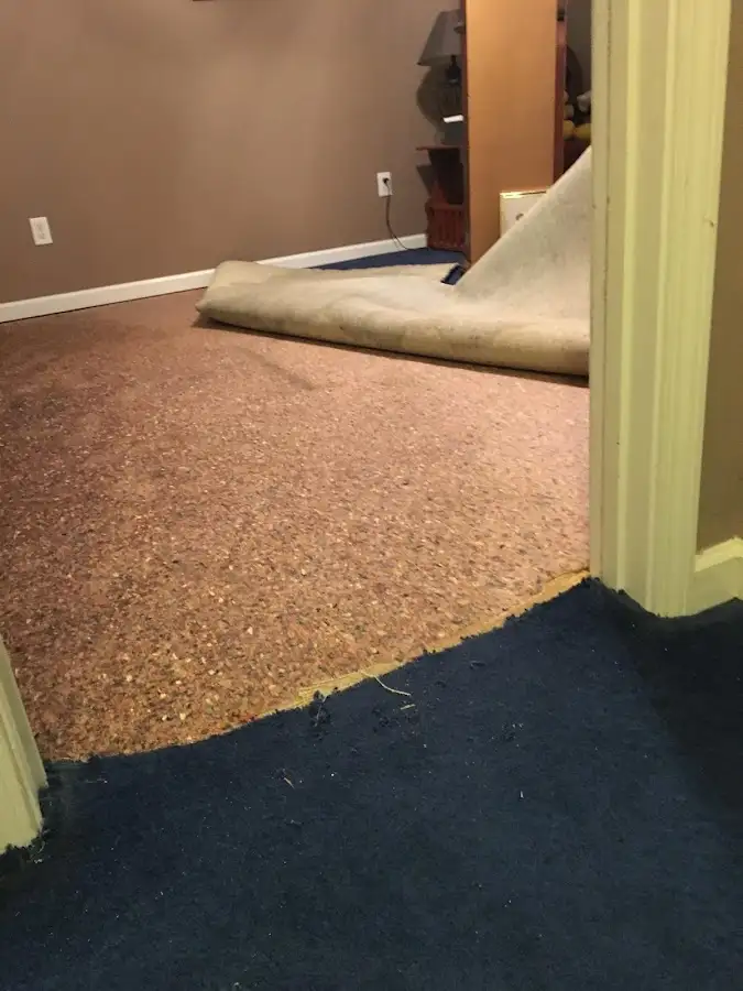 Carpet pad removal revealing water damage during Drying & Dehumidification in Mandan